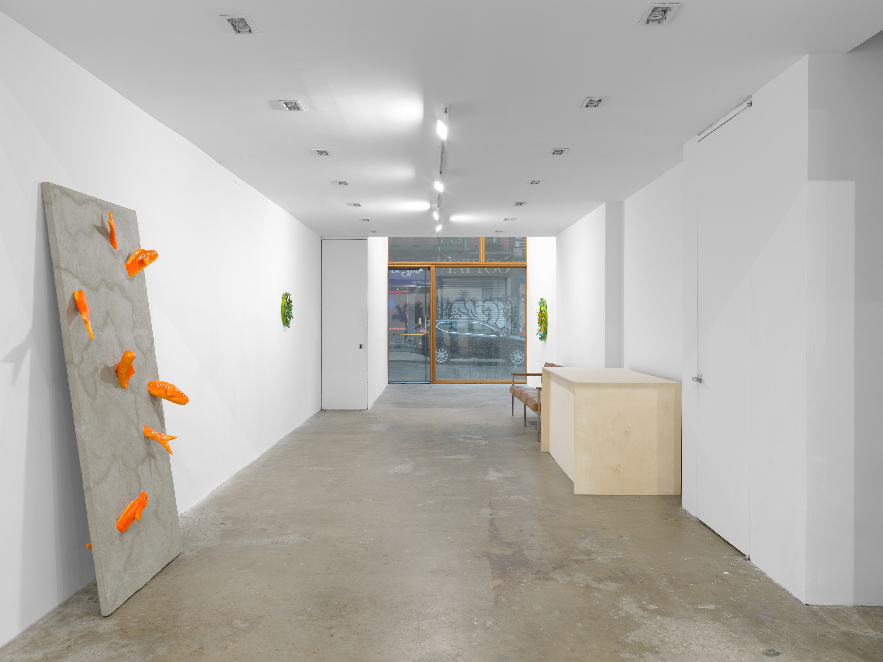 Anna Helm, The Fish DiMension at Harkawik, photo 23