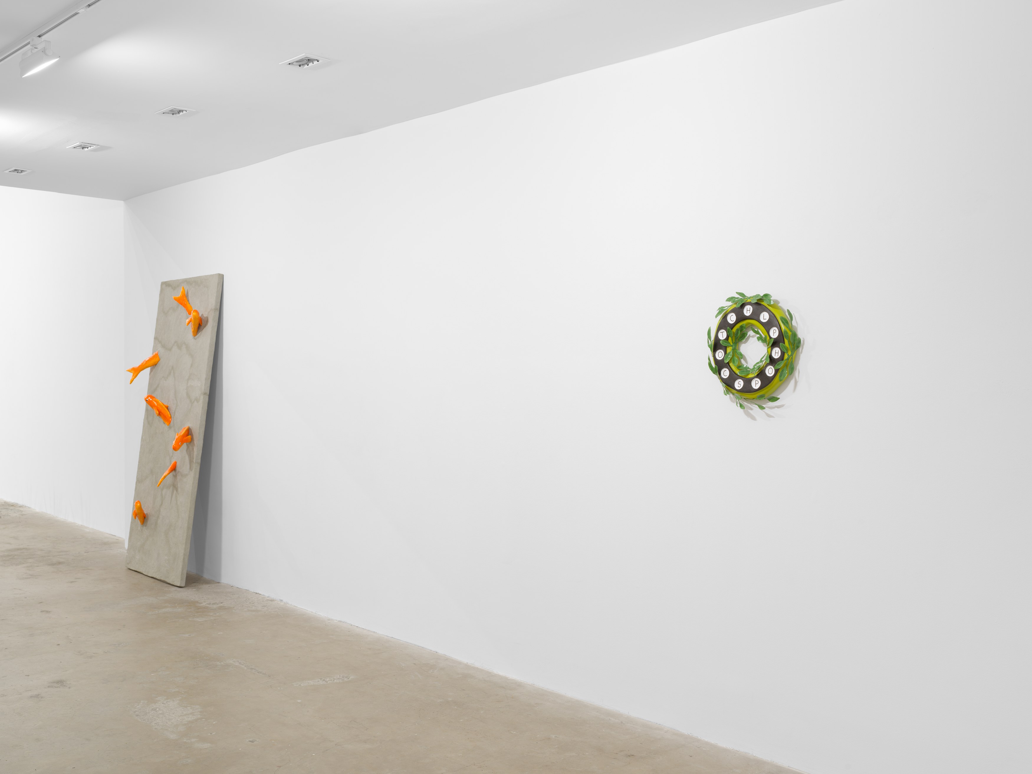 Anna Helm, The Fish DiMension at Harkawik, photo 27