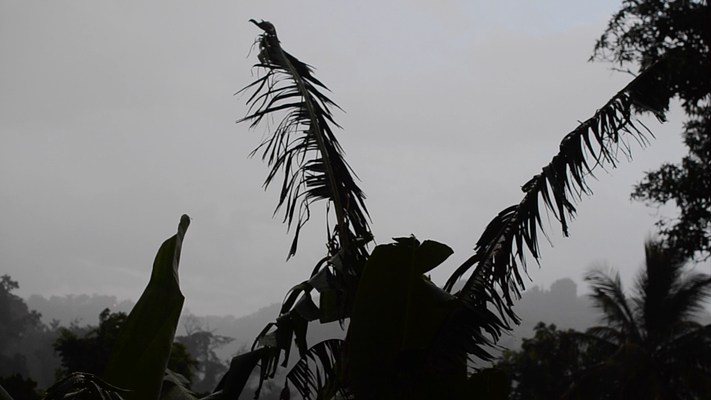 Image 16 of 22