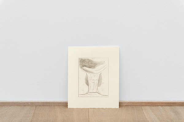 Image 12 of 16