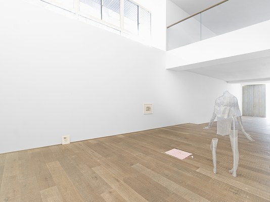 Image 6 of 16