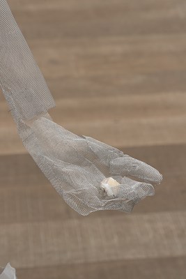 Image 11 of 16