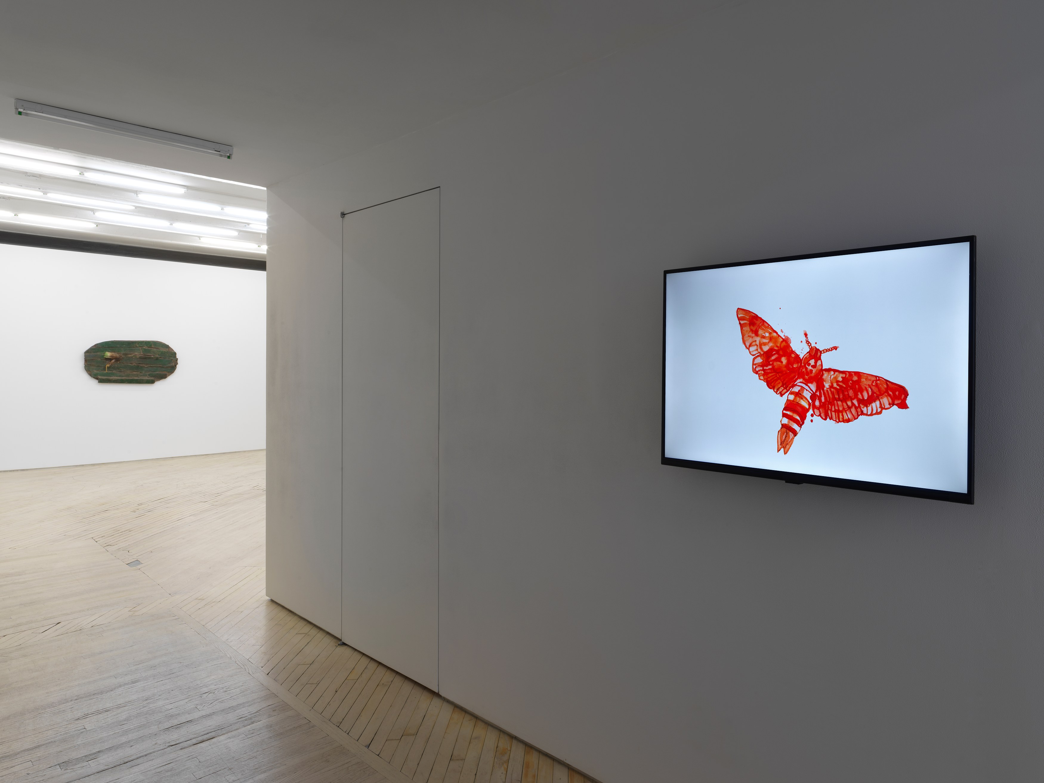 Installation view 4