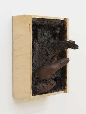 Image 12 of 24