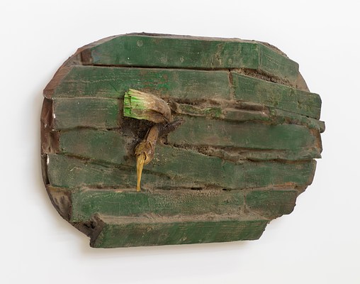 Image 14 of 24