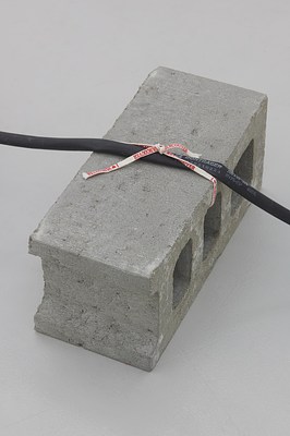 Image 10 of 46