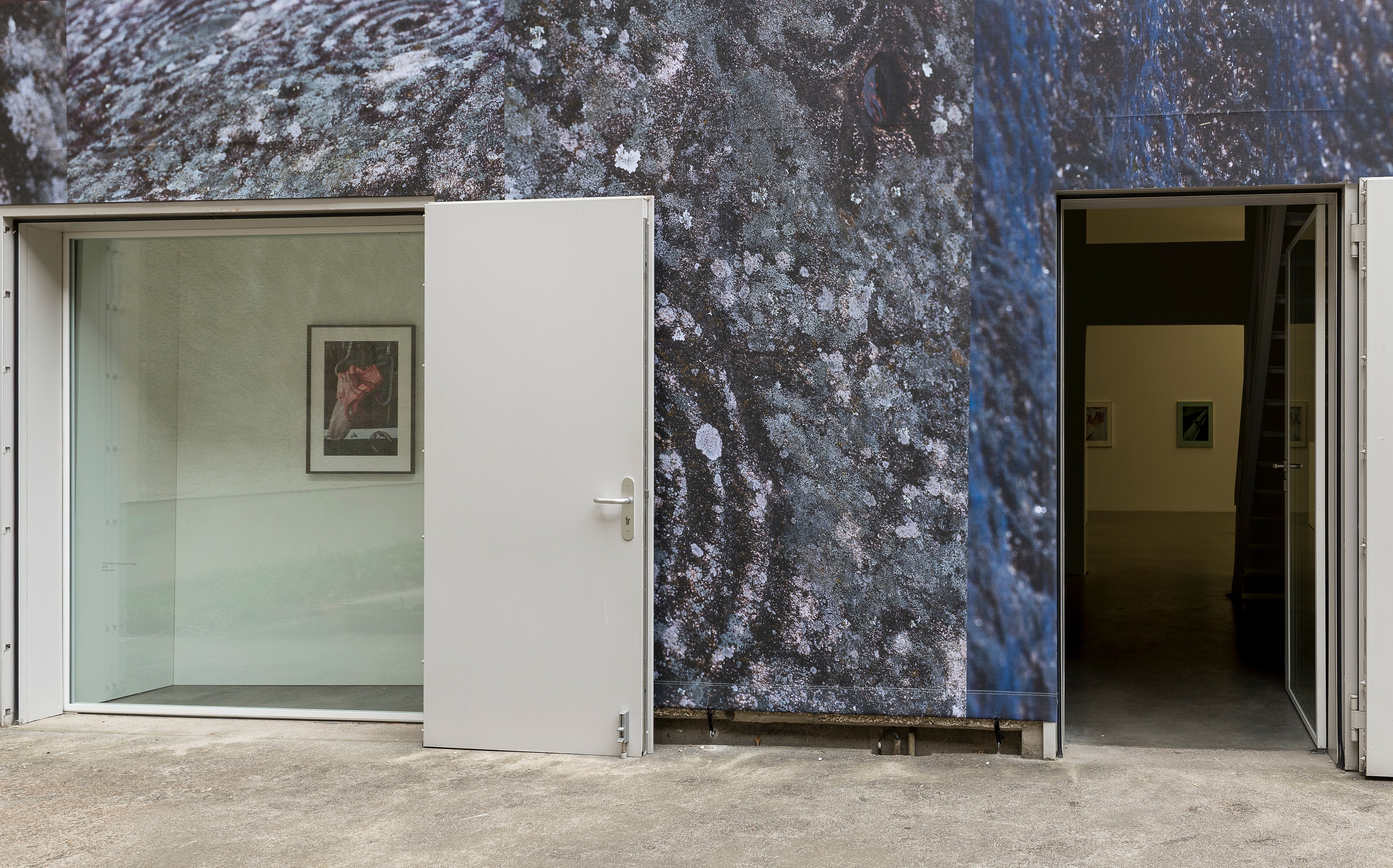 Josephine Pryde, Exterior, Night, Day at MD 72, photo 10