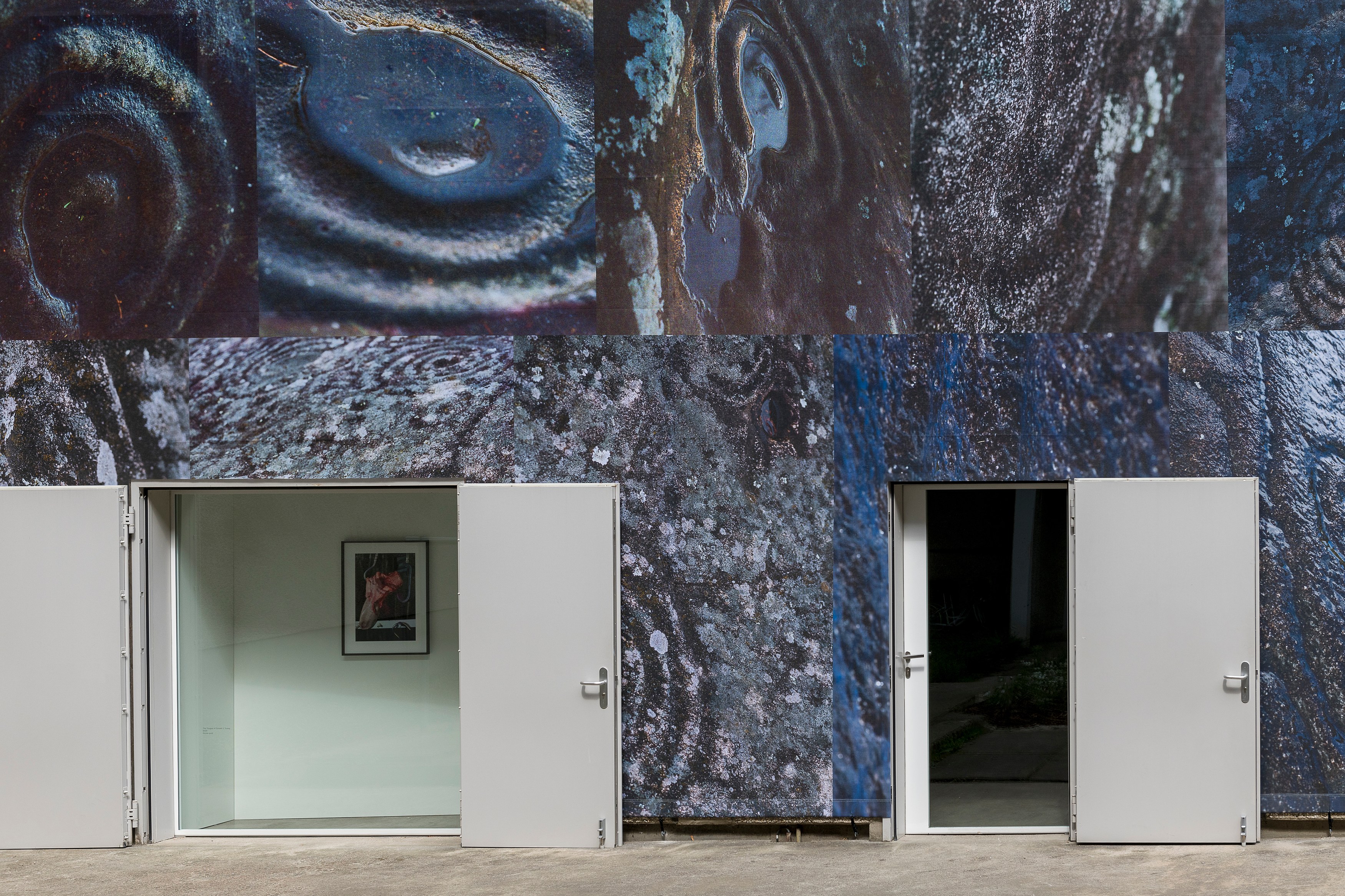 Josephine Pryde, Exterior, Night, Day at MD 72, photo 6