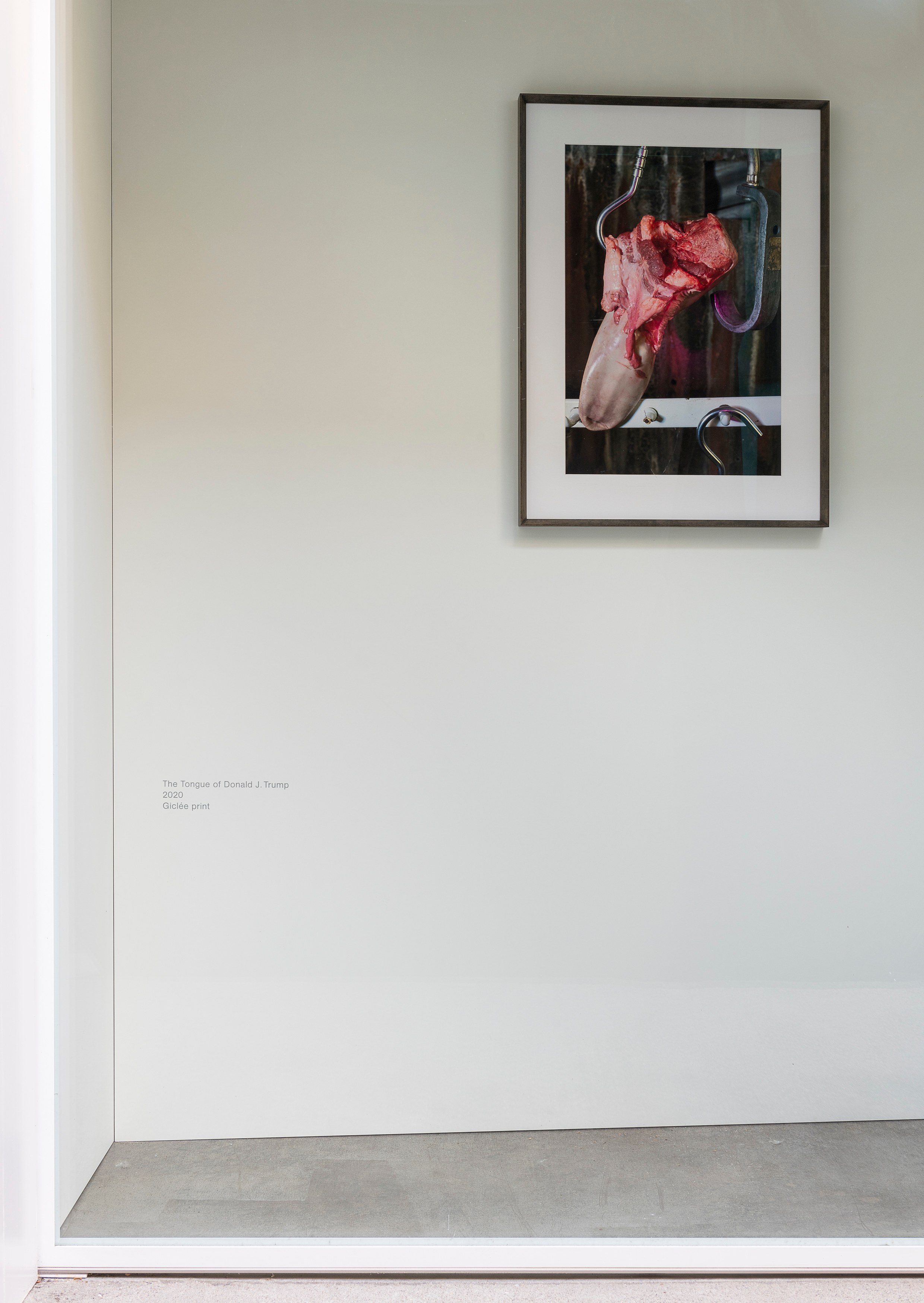 Josephine Pryde, Exterior, Night, Day at MD 72, photo 13