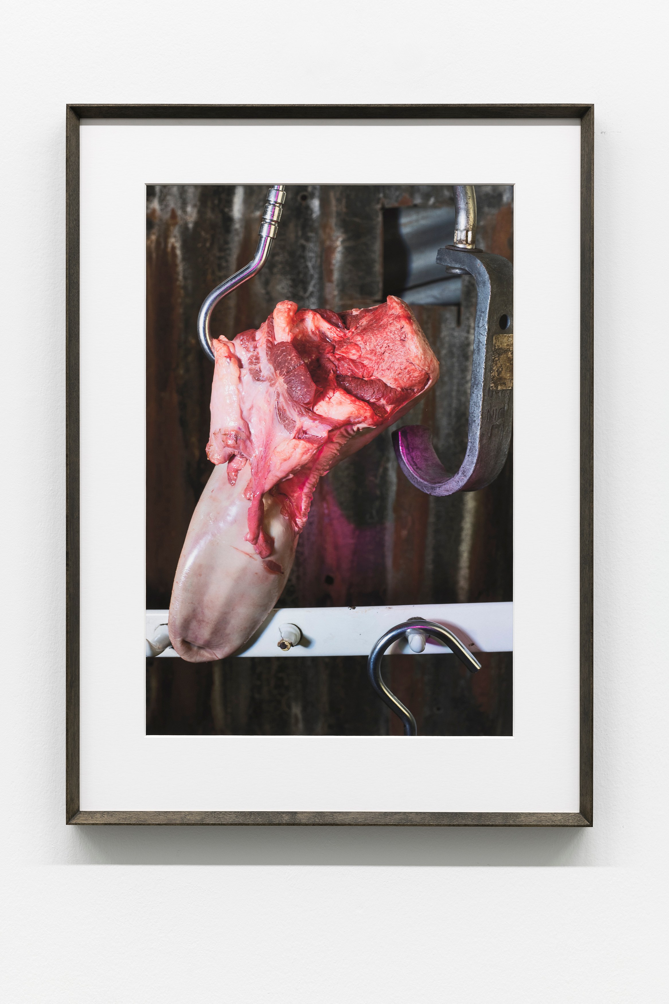 Josephine Pryde, Exterior, Night, Day at MD 72, photo 14