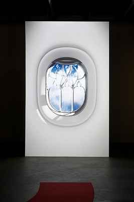 Image 9 of 14