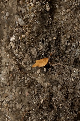 Image 20 of 97