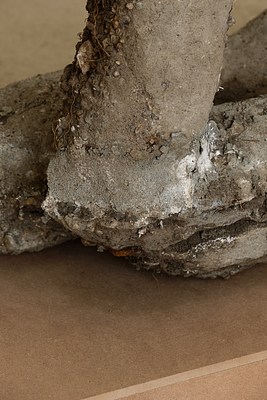 Image 29 of 97