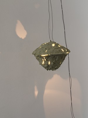 Image 3 of 20