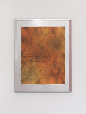 Image 12 of 20