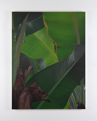 Image 19 of 22