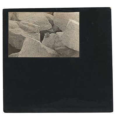 Image 100 of 101