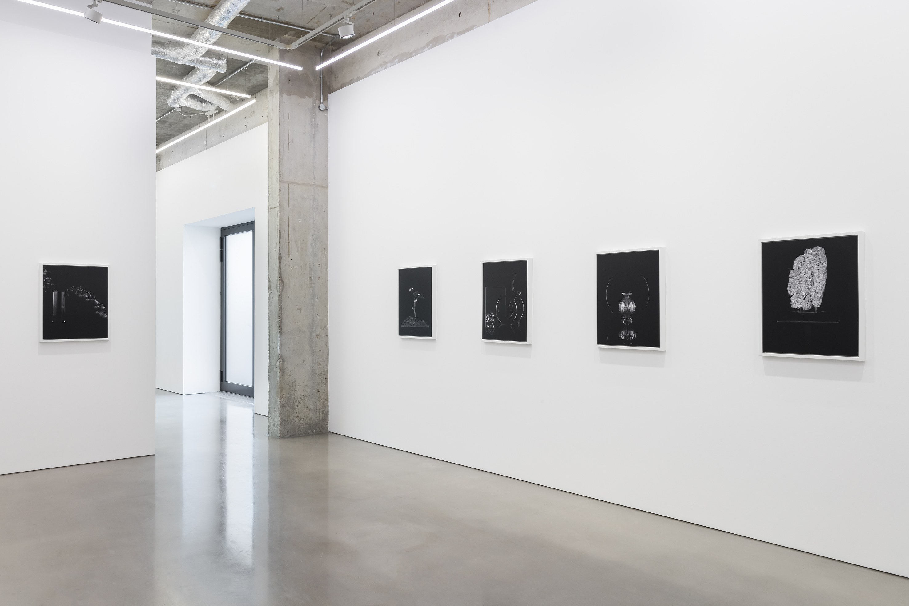 Sarah Jones, Hall of Mirrors at Studio M, photo 2