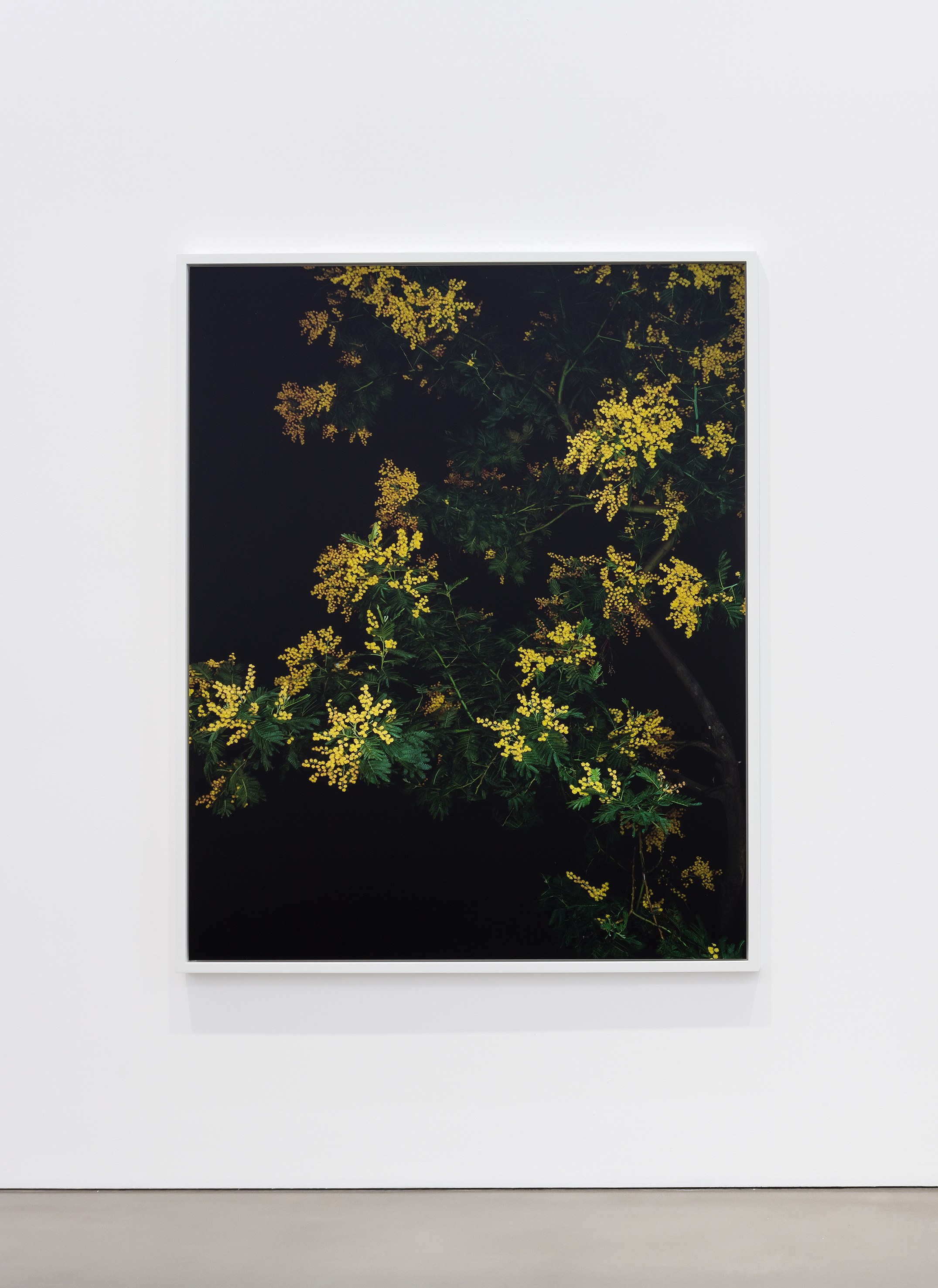 Sarah Jones, Hall of Mirrors at Studio M, photo 7