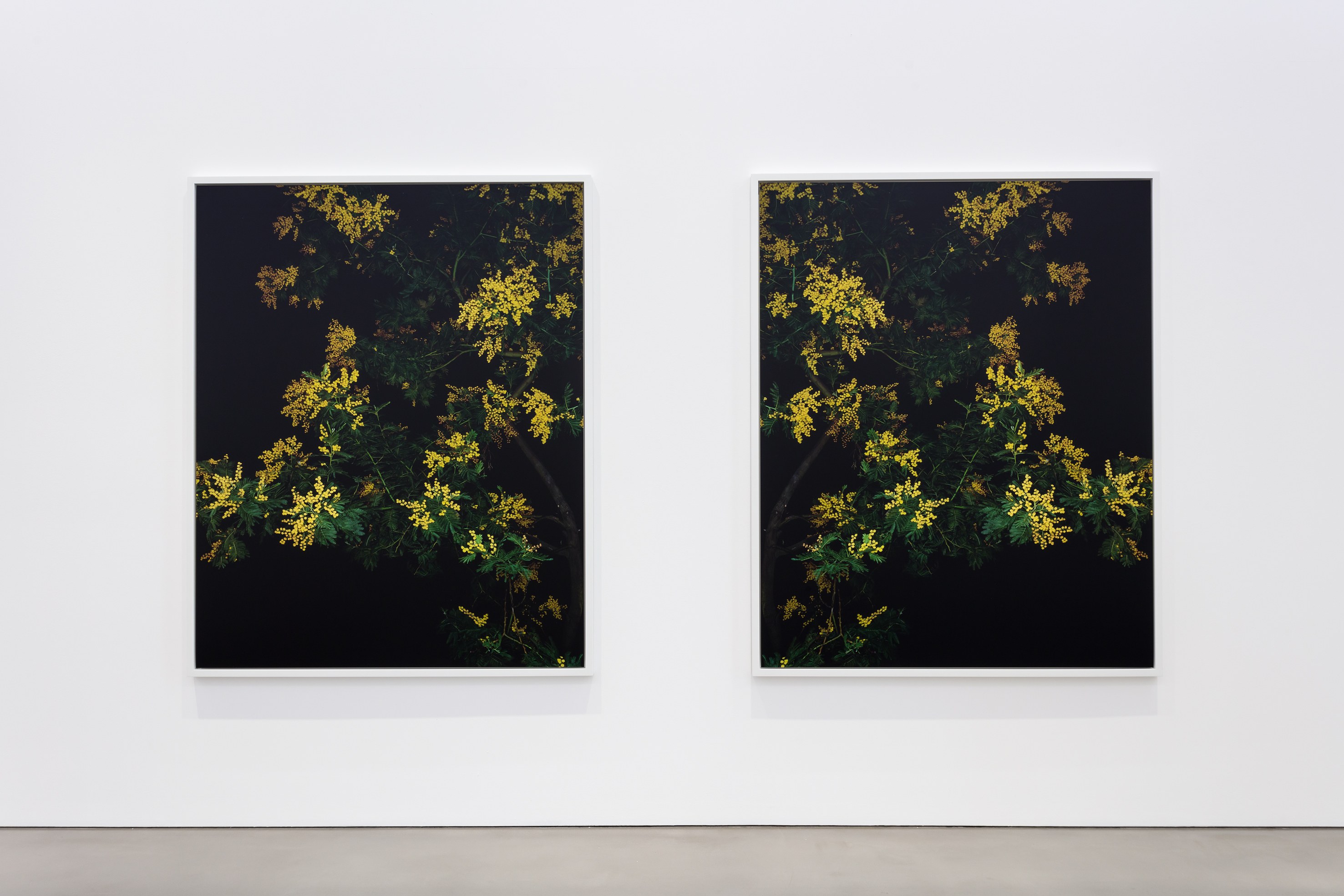 Sarah Jones, Hall of Mirrors at Studio M, photo 3
