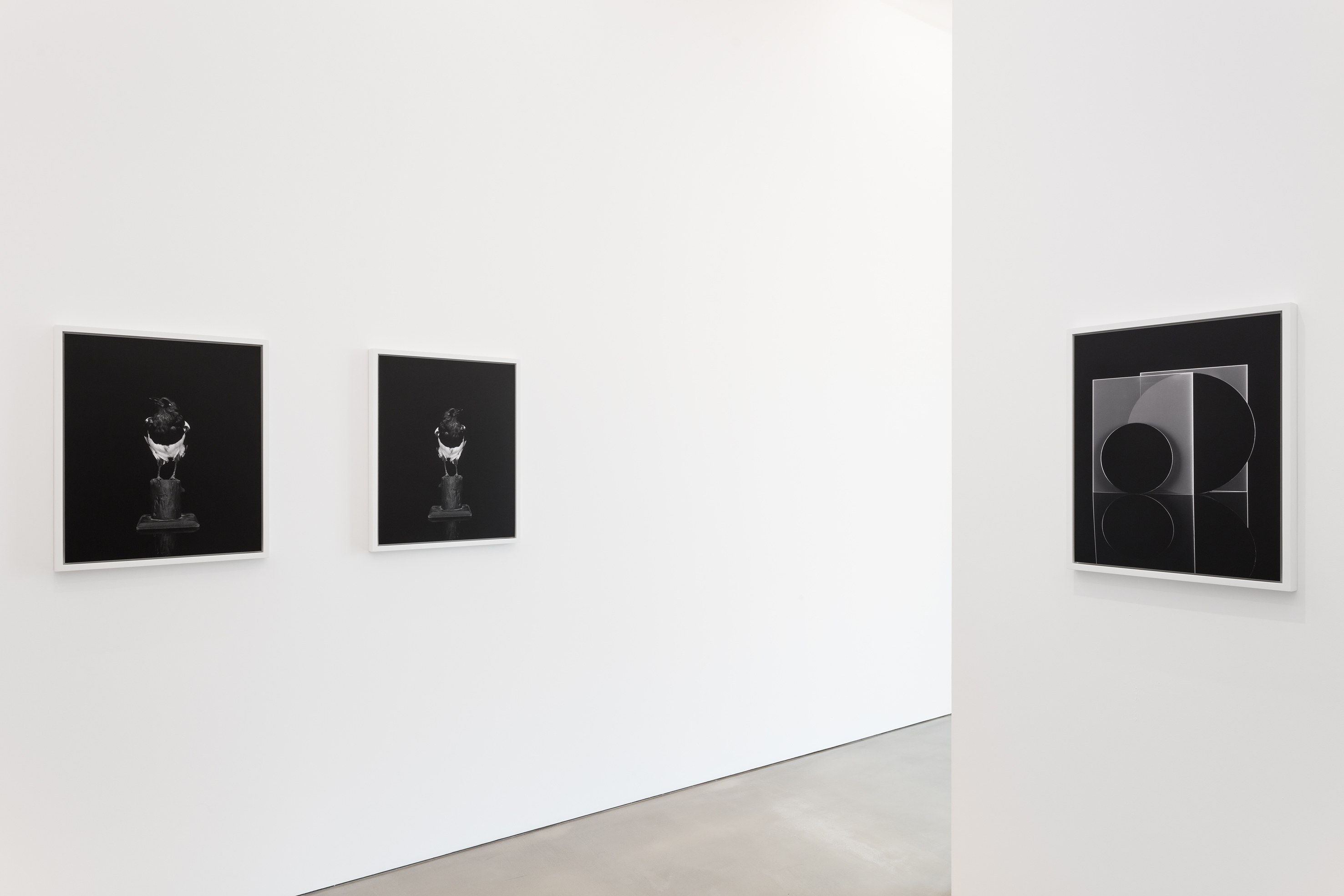 Sarah Jones, Hall of Mirrors at Studio M, photo 5