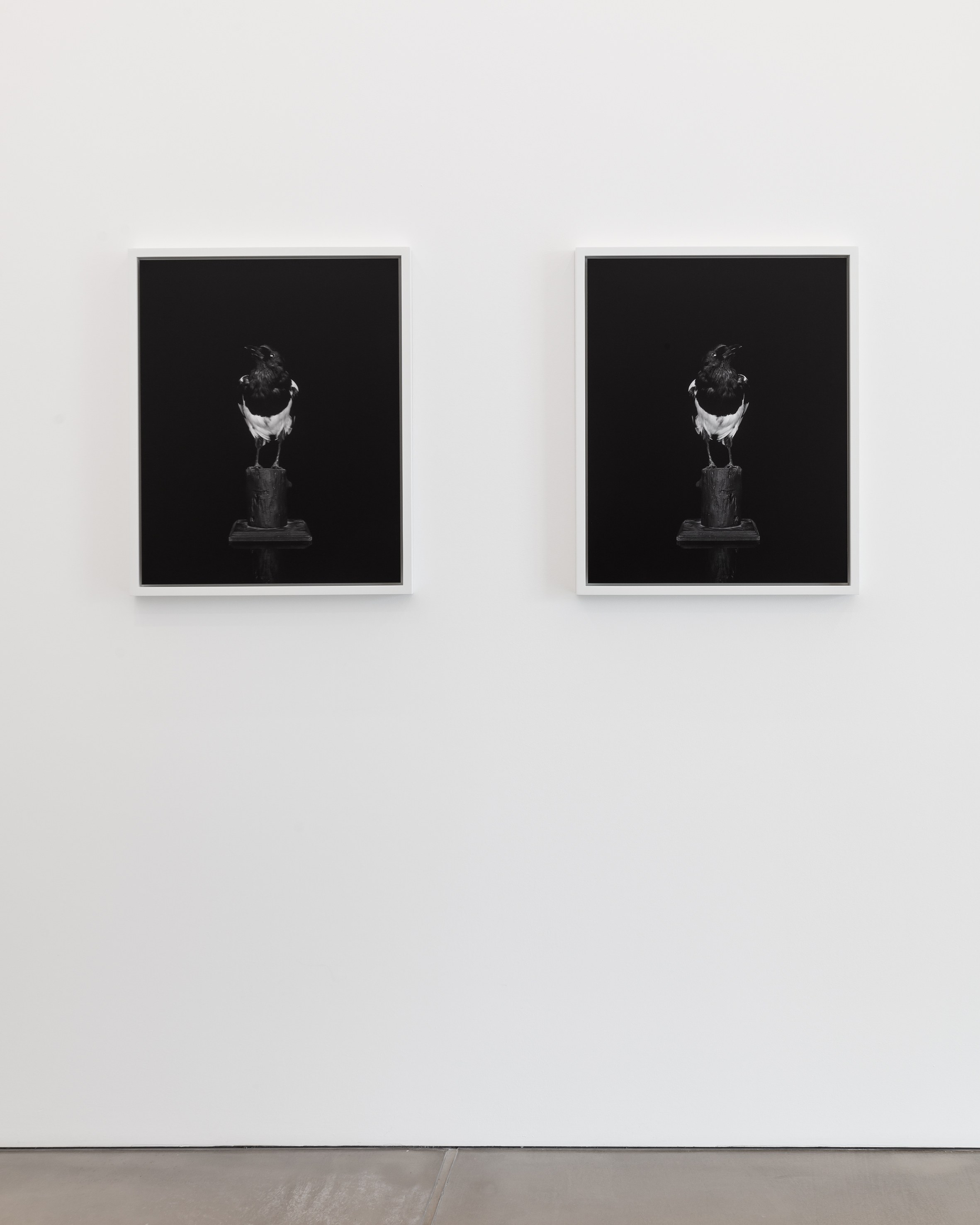 Sarah Jones, Hall of Mirrors at Studio M, photo 6
