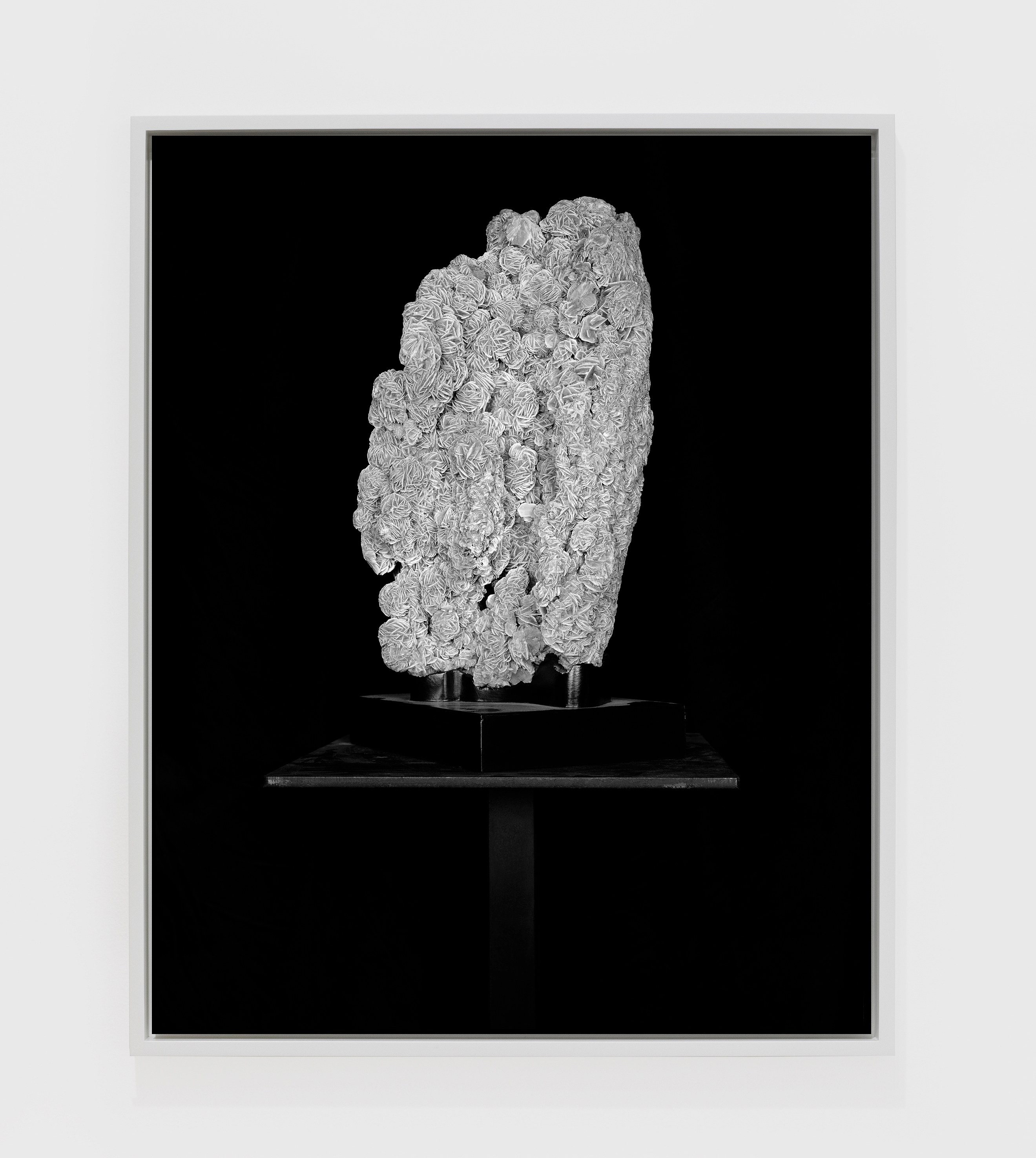 Sarah Jones, Hall of Mirrors at Studio M, photo 9