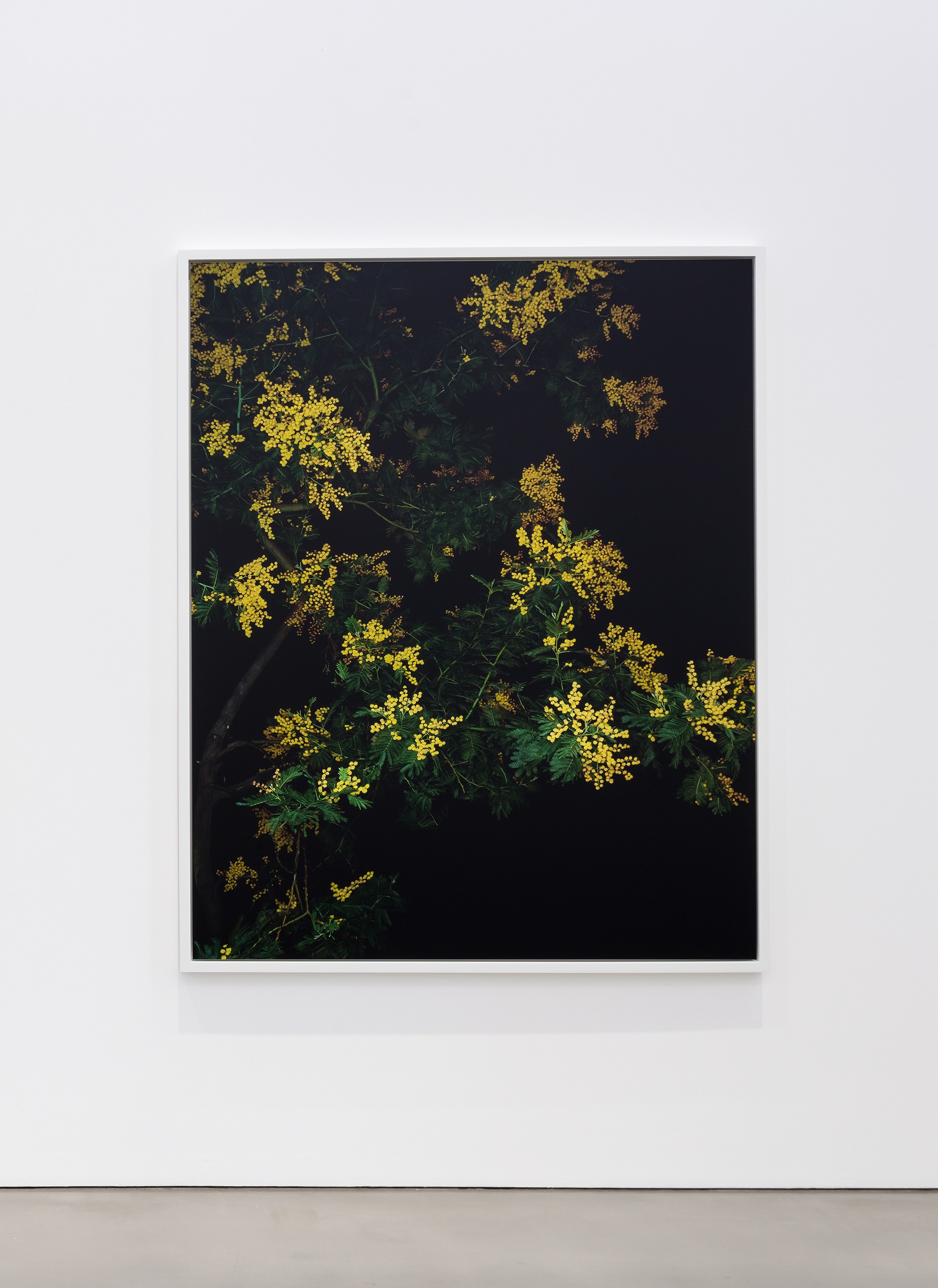 Sarah Jones, Hall of Mirrors at Studio M, photo 8