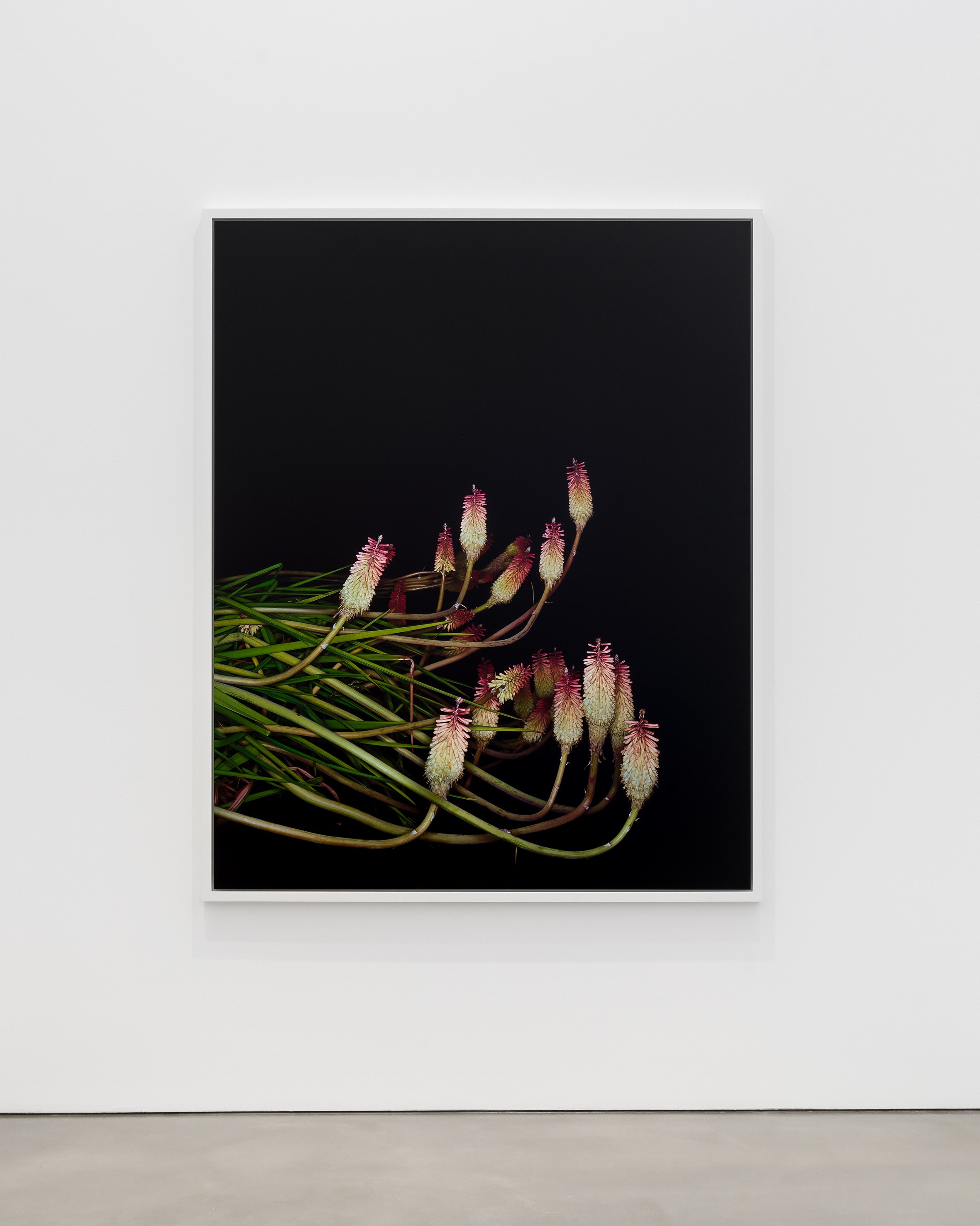 Sarah Jones, Hall of Mirrors at Studio M, photo 10