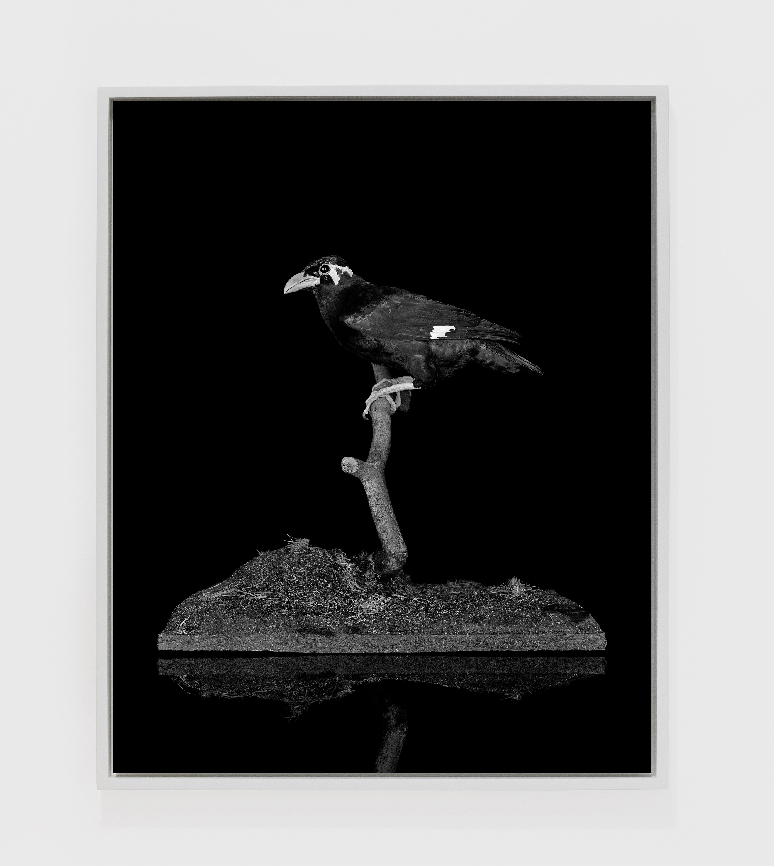 Sarah Jones, Hall of Mirrors at Studio M, photo 16