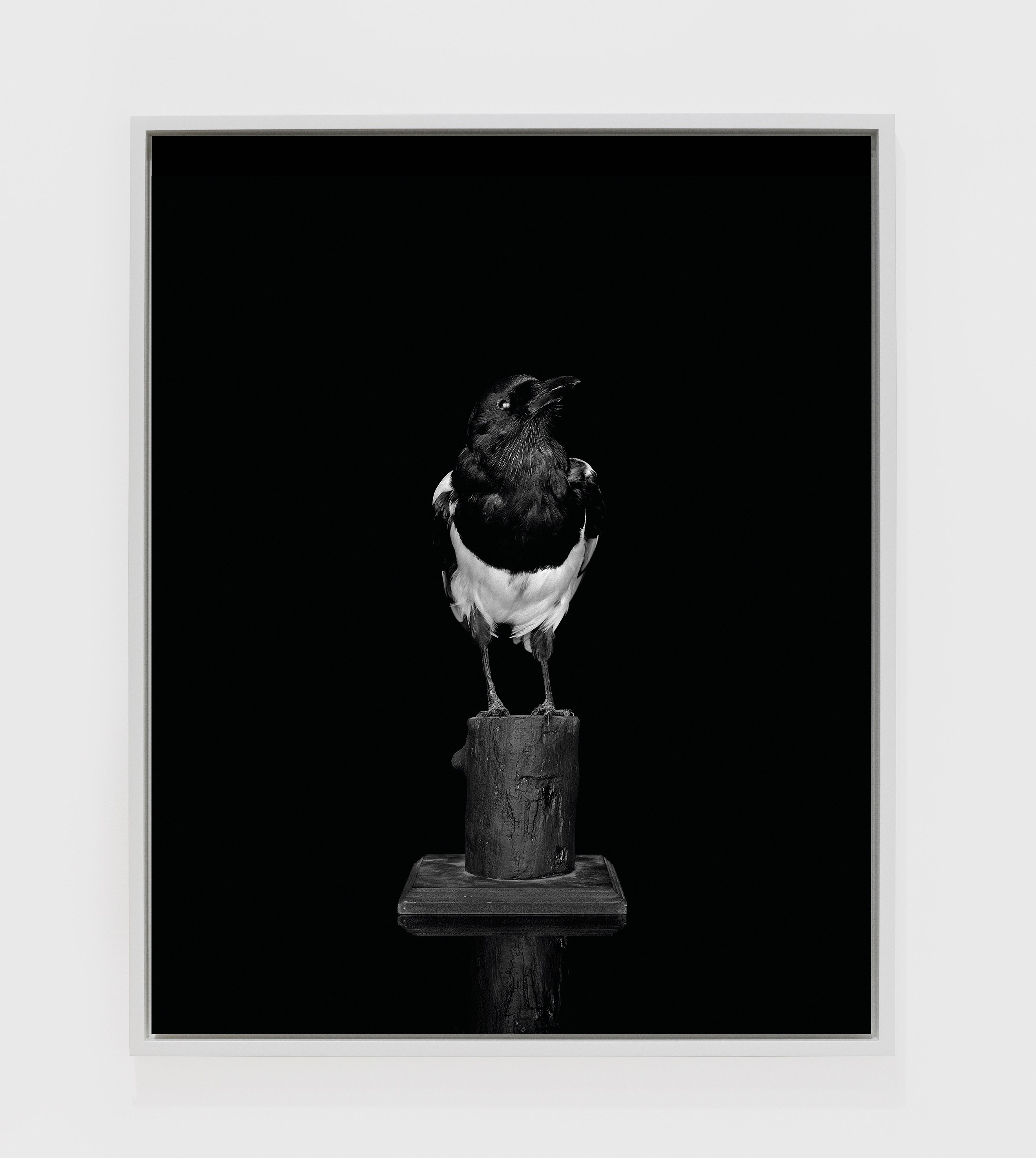 Sarah Jones, Hall of Mirrors at Studio M, photo 17