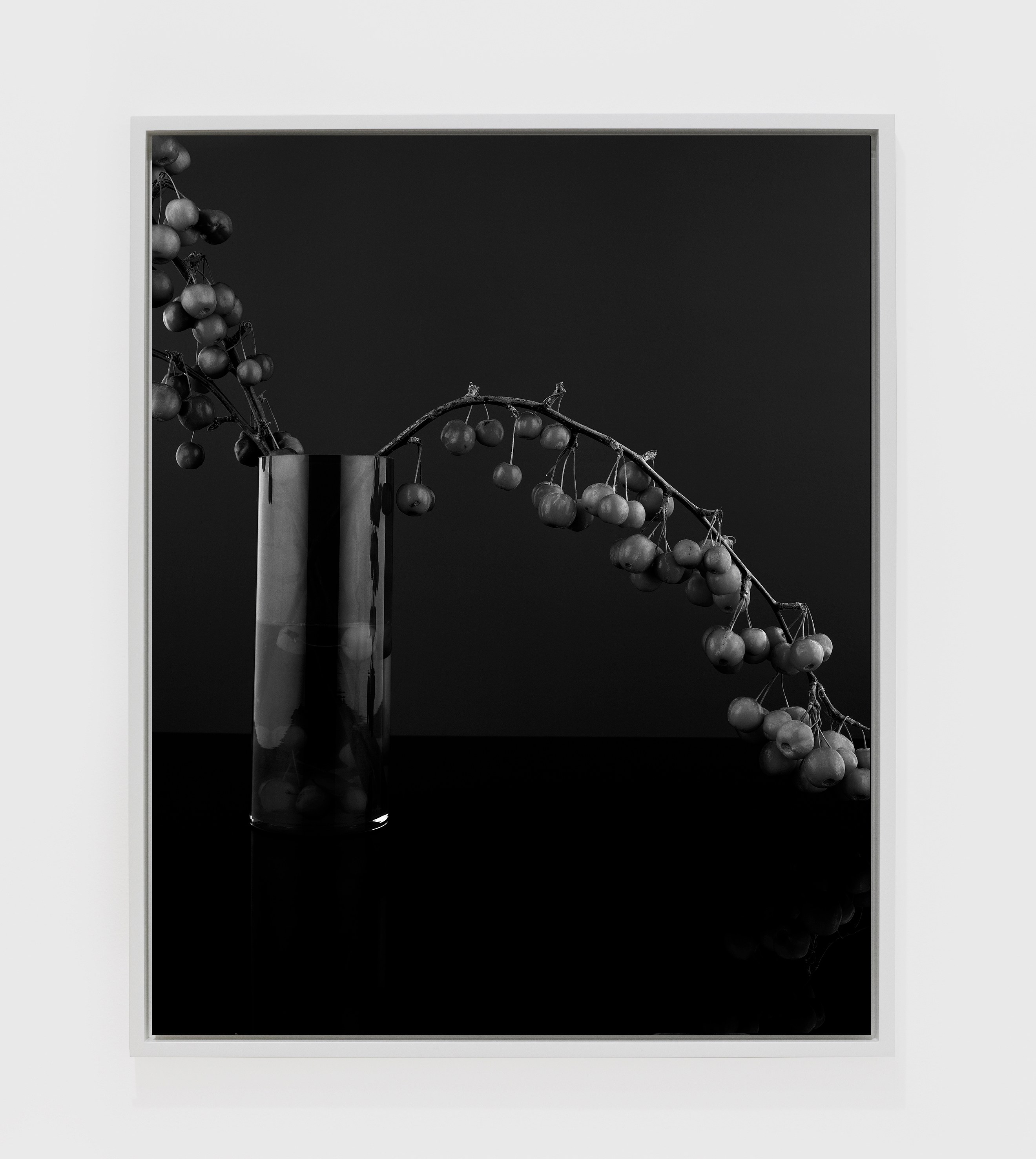 Sarah Jones, Hall of Mirrors at Studio M, photo 19