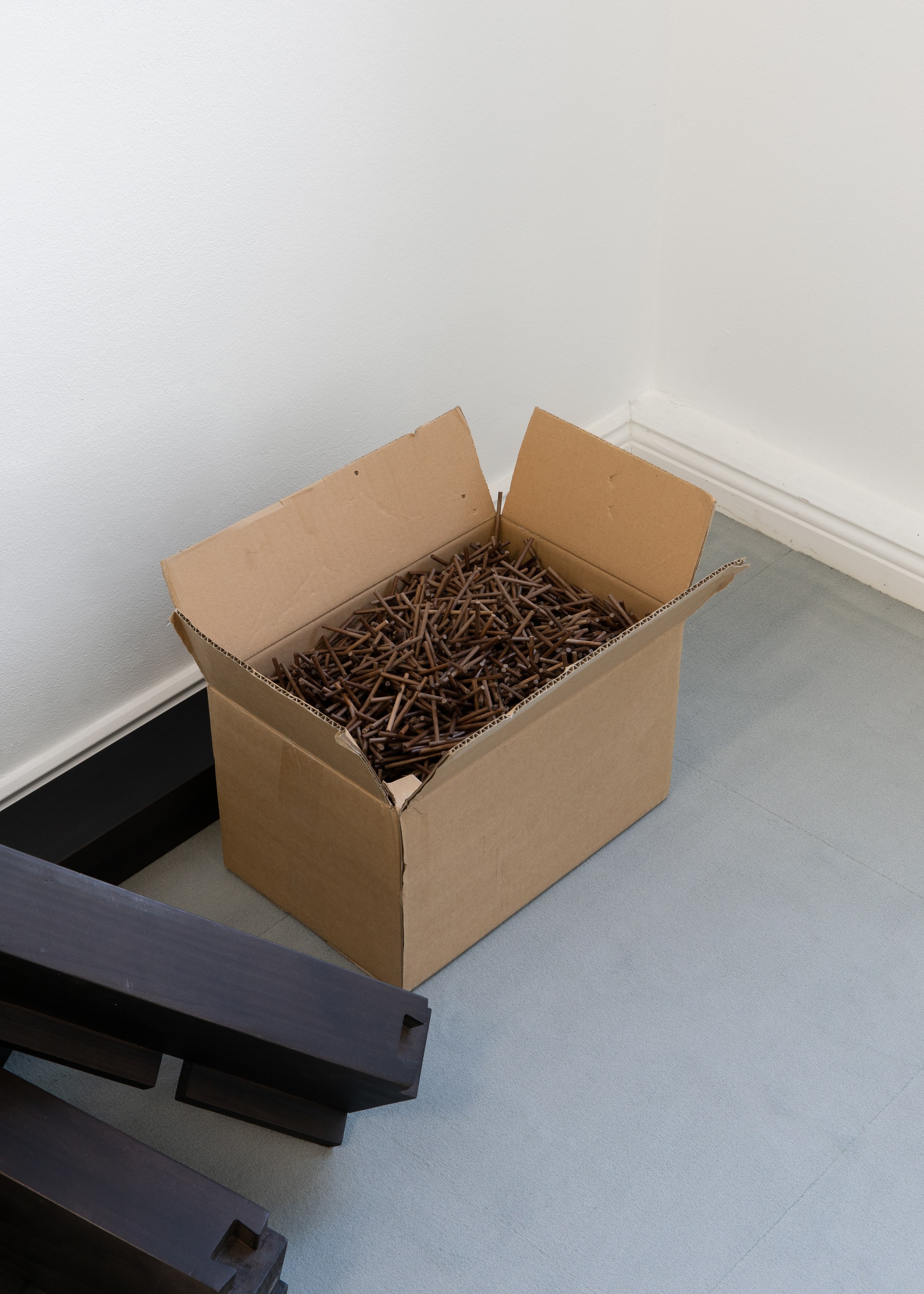 Constantin Thun, Cabin, [5.2.2020 – 29.2.2020] at Sweetwater, photo 7