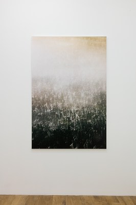 Image 33 of 62