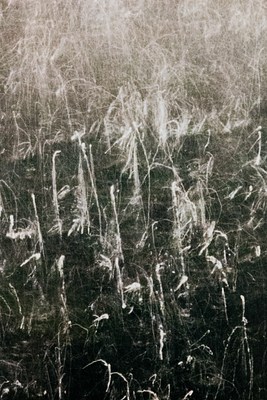 Image 34 of 62