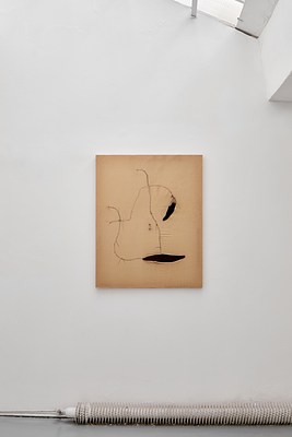Image 10 of 38