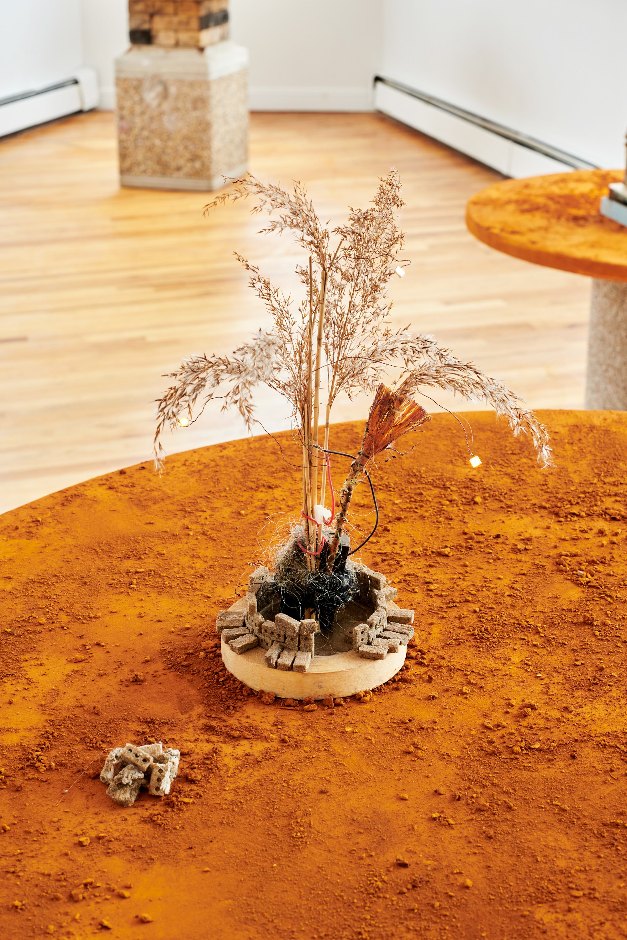 Sophie Friedman-Pappas, Transfer Station at Alyssa Davis Gallery, photo 3