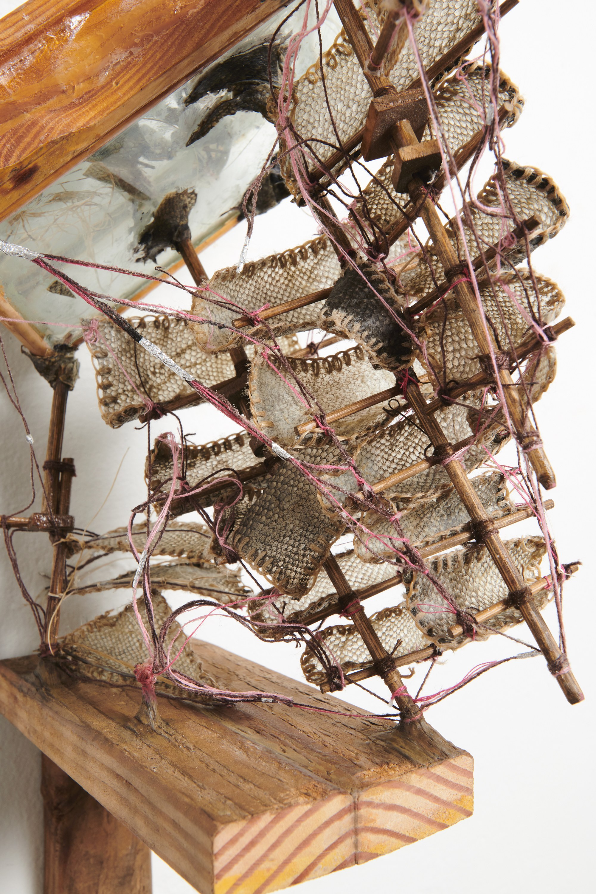 Sophie Friedman-Pappas, Transfer Station at Alyssa Davis Gallery, photo 16