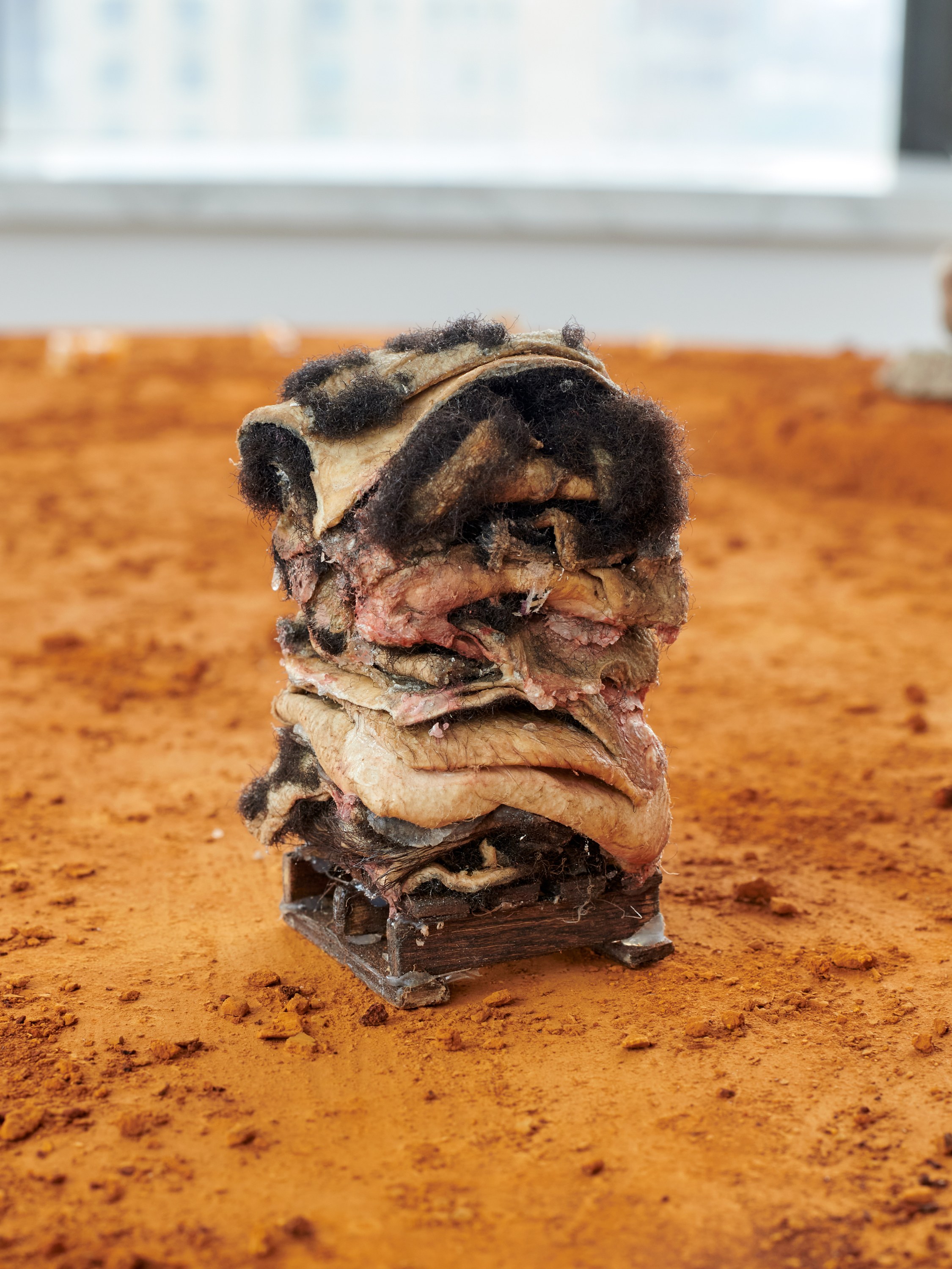 Sophie Friedman-Pappas, Transfer Station at Alyssa Davis Gallery, photo 31