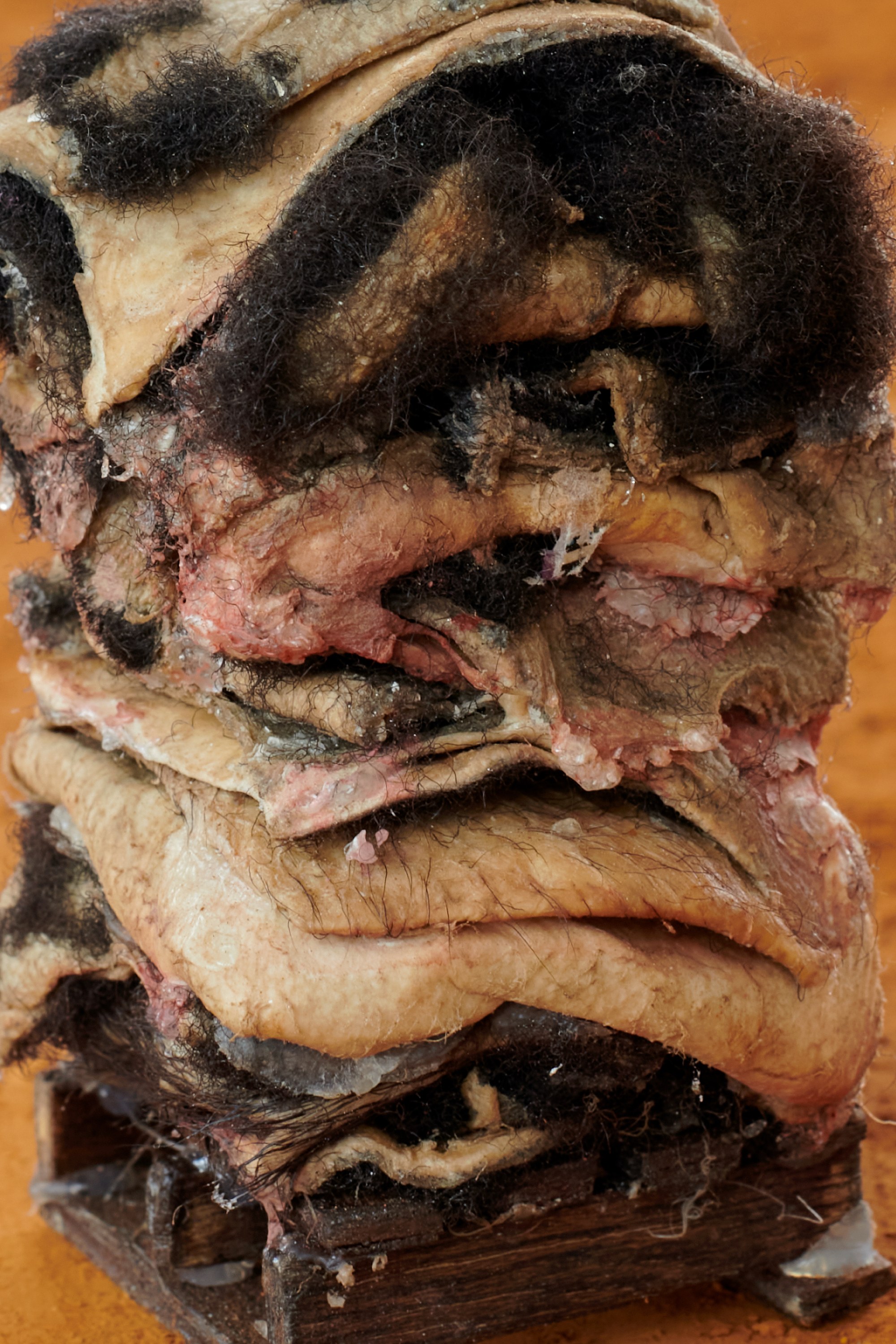 Sophie Friedman-Pappas, Transfer Station at Alyssa Davis Gallery, photo 32