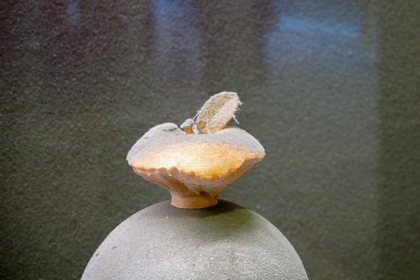 Image 13 of 13