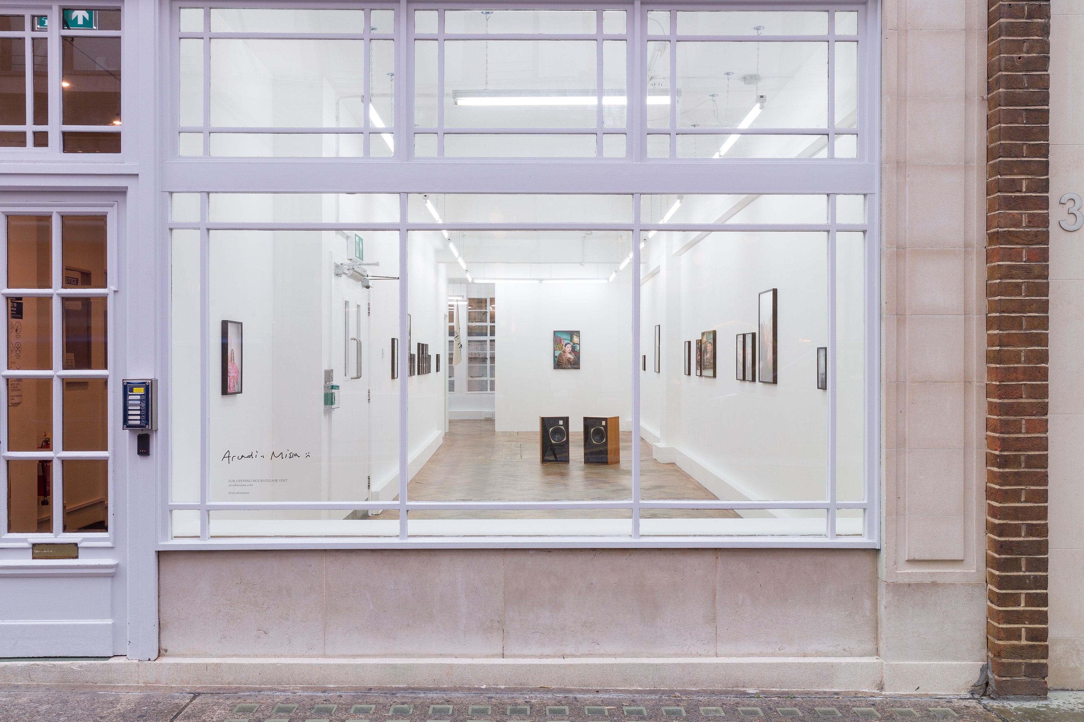 Rene Matić, flags for countries that don’t exist but bodies that do at Arcadia Missa, photo 2