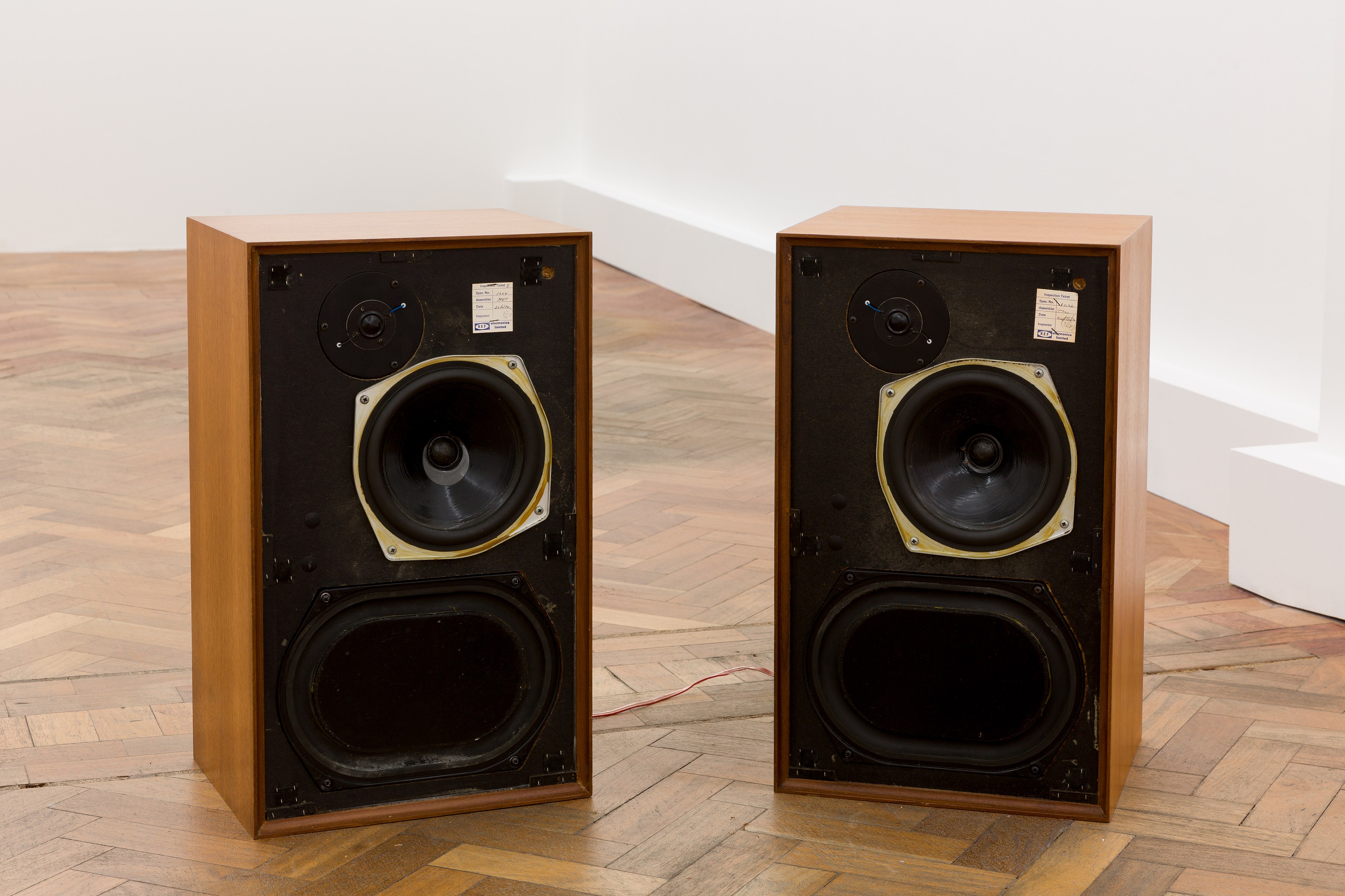 Rene Matić, flags for countries that don’t exist but bodies that do at Arcadia Missa, photo 8