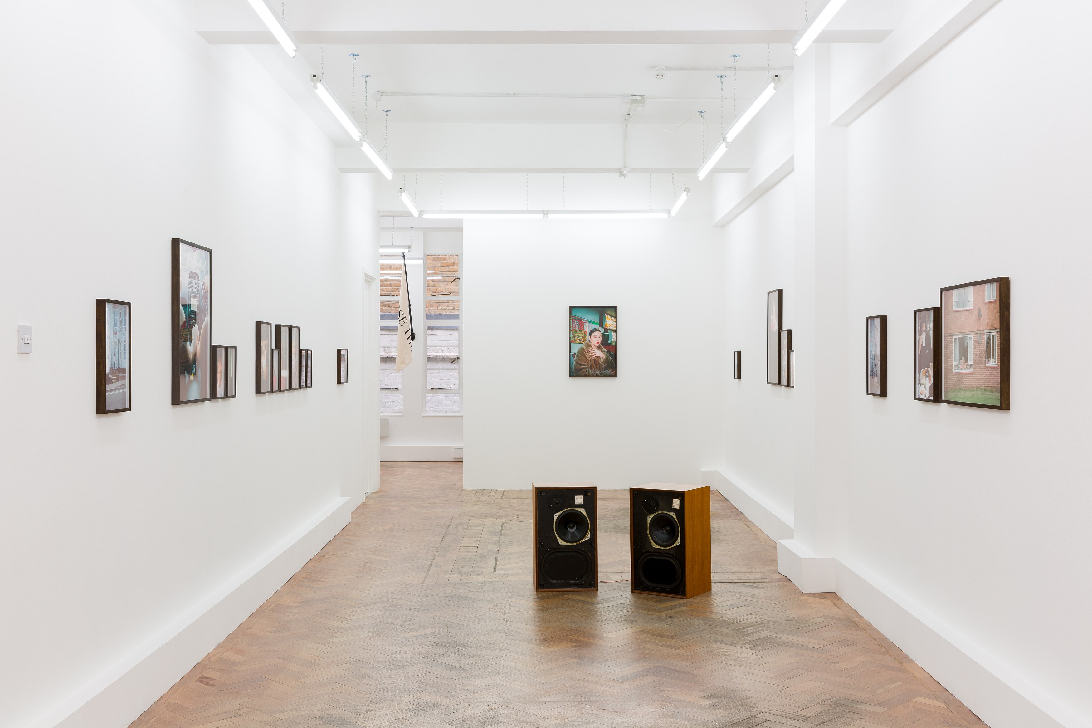 Rene Matić, flags for countries that don’t exist but bodies that do at Arcadia Missa, photo 18
