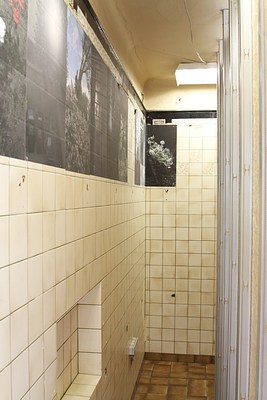 Image 4 of 16