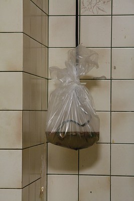 Image 16 of 16
