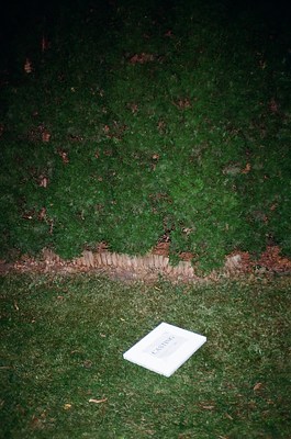 Image 5 of 29