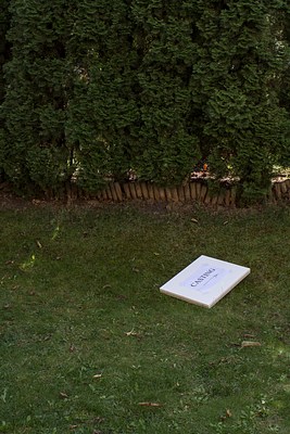 Image 4 of 29