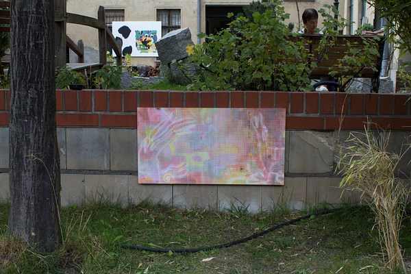 Image 8 of 29