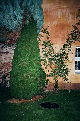 Image 18 of 29